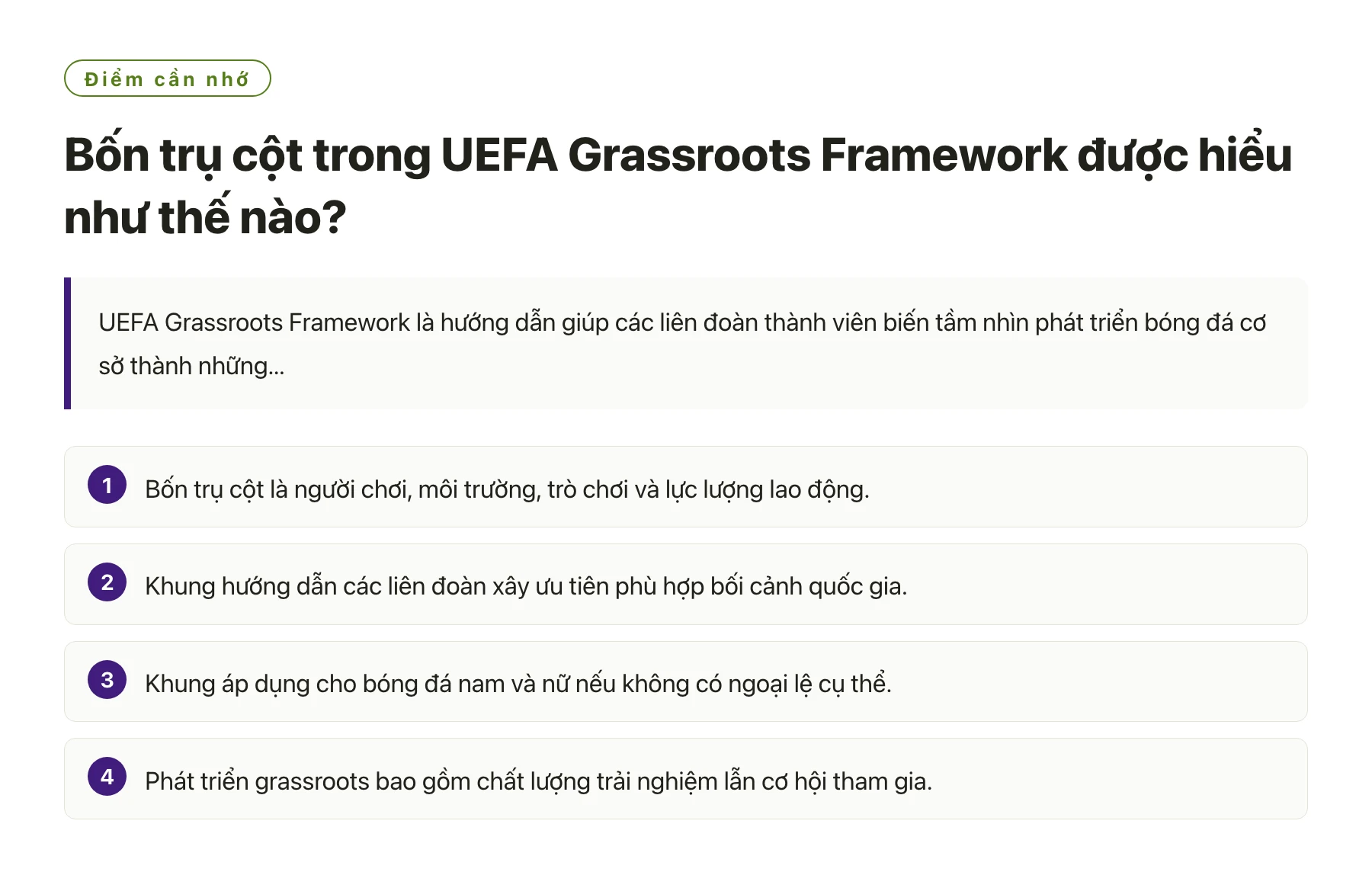 Bốn trụ cột trong UEFA Grassroots Framework được hiểu như thế nào?——全文要点速览
